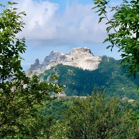 Casa Del Geco - La Natura Intorno A Te Holiday home Camaiore
